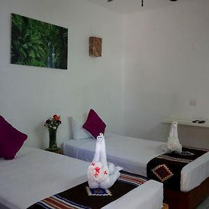 Habitación Pequeña con 2 Camas Individuales